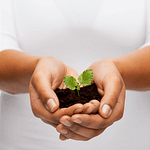 Valores
